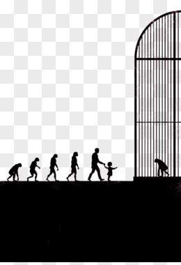 人类进化图图片