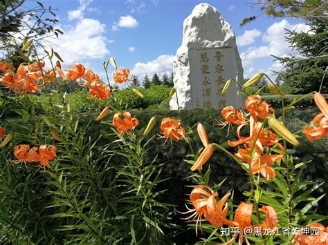 墓碑展示 - 哈尔滨和平公墓