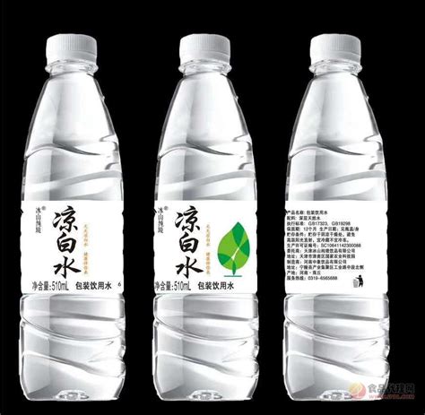 冰山纯净凉白水包装饮品水510ml-星初元（福建）乳业有限公司-秒火食品代理网