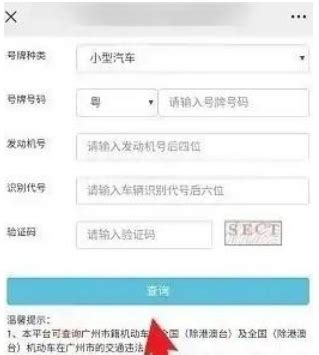 广州交警app违章哪里看-微信广州地区违章记录查询方法-兔叽下载站
