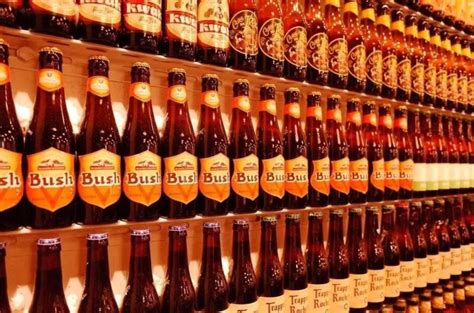 青岛崂特金啤酒 崂山泉水酿造500毫升12瓶易拉环箱装批发-阿里巴巴