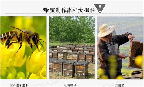 农家蜂蜜网上销售HTML5模板_站长素材