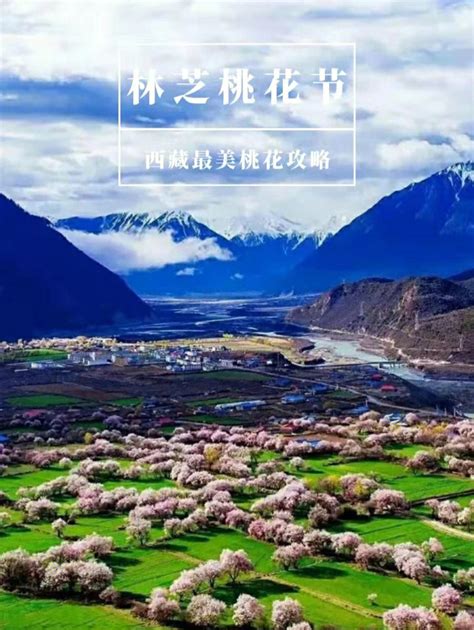 西藏林芝旅游七天大概要多少钱，西藏林芝旅游7天多少钱-旅游官网