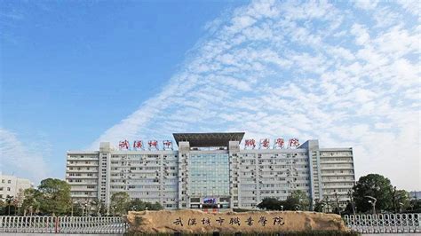 武汉城市职业学院 - 湖北省人民政府门户网站