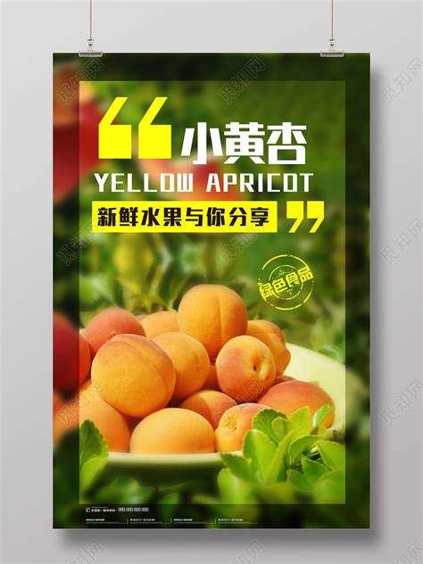 精美大气简约新鲜生鲜蔬果促销展板模板素材-正版图片400186100-摄图网