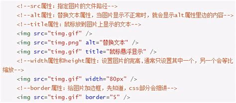 HTML标签详解_html结构标签-CSDN博客