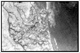 “卡西尼”号证实土卫六有甲烷“海洋”----国家空间科学中心
