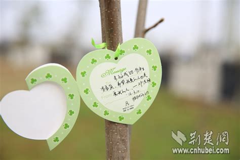 【荆楚网】每人“领养”一棵树 高校植树节“种”出新花样-武汉学院