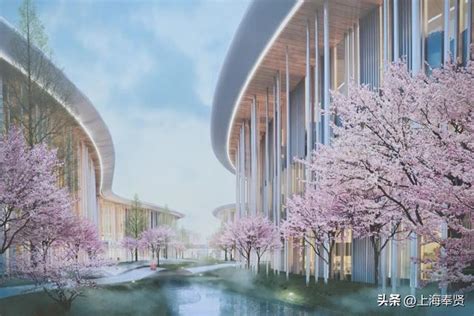 与南上海演艺新殿堂为邻！奉贤新城九棵树酒店新建工程今天正式开工|上海市_新浪新闻