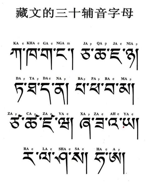 中文翻译成藏文和梵文
