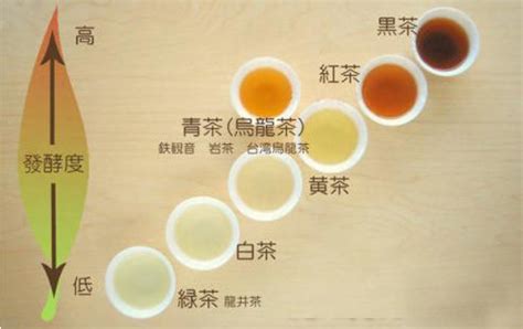 全国各地茶叶品种(全国各地茶叶名称大全) - 美食资讯 - 华网