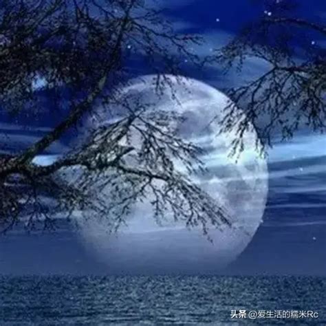 月是故乡明课文,月是故乡明诗句,月是故乡明图片_大山谷图库