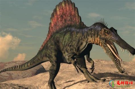 侏罗纪十大最强恐龙排名（侏罗纪世界恐龙战斗力排名）_商机洞察