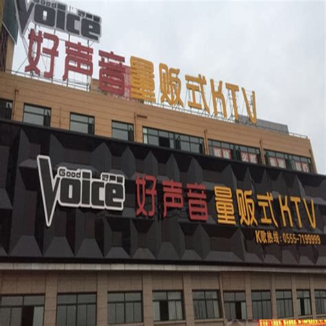 好声音KTV Logo、VI设计_灵智品牌营销策划-站酷ZCOOL
