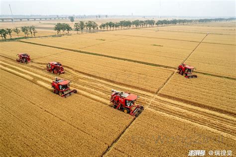 德州：麦收圆满收官 814.8万亩小麦喜获大丰收-大略网