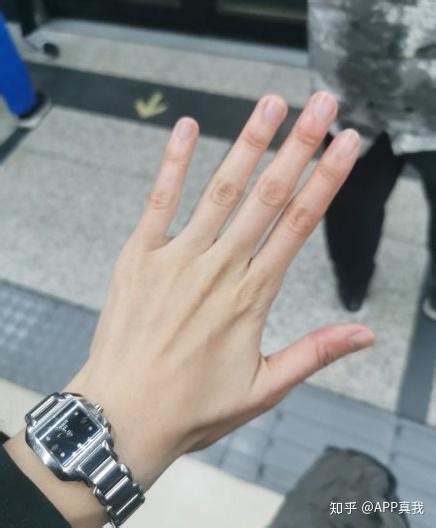 手照图片
