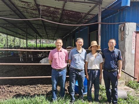 动物科学技术学院专家赴姚安县开展牧场规划设计服务和养殖技能培训-云南农业大学