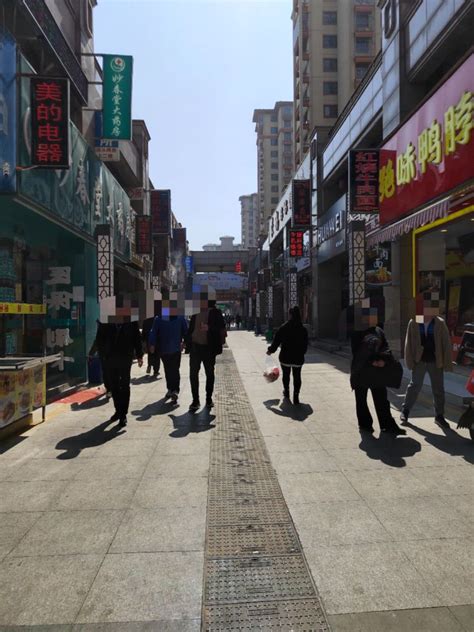 滁州商业（风情商业街）su模型下载-光辉城市