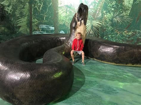 史前最大蟒蛇：泰坦巨蟒，身长可达15米，重1吨|泰坦|巨蟒|蟒蛇_新浪新闻