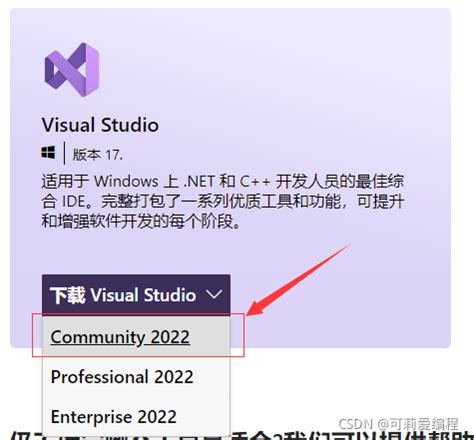 Visual Studio 2022 正式版下载教程_vs2022官网地址-CSDN博客