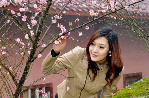 待到春花烂漫时_[标签:标题1]