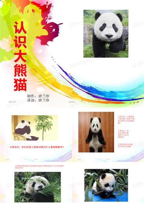 大熊猫国家公园形象标识设计|平面|标志|zyballack - 原创作品 - 站酷 (ZCOOL)