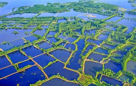 河南平顶山白龟湖国家湿地公园-河南省林业厅-关注森林网
