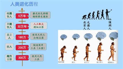 《中国早期人类的代表—北京人》PPT教学课件 - 第一PPT