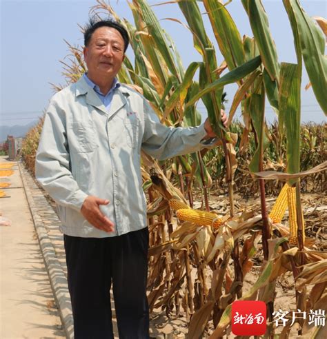 “中国紧凑型杂交玉米之父”李登海：力争10年玉米亩产突破2000公斤大关_社会热点_社会频道_云南网