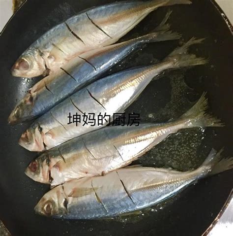 巴浪鱼系列【下】好吃不过巴浪，潮汕和闽南人的专宠美味！