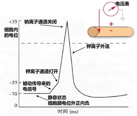 电路板阻抗原理知识及应用-广州致远电子股份有限公司