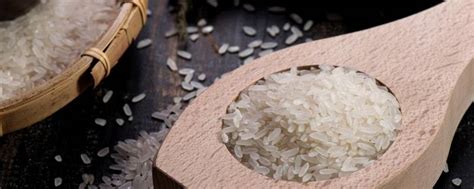济宁大米厂家-优质大米-专业生产大米 -- 金源米业