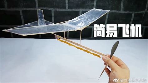 科学网—纯竹质环保型微型飞机（图） - 沈海军的博文
