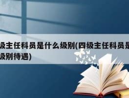 四级主任科员是什么级别(四级主任科员是什么级别待遇) - 岁税无忧科技