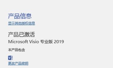 【Visio2019特别版下载】Visio2019下载 官方免费特别版（含激活密钥）-开心电玩