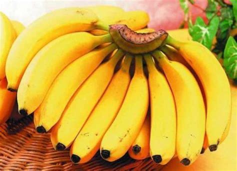 香蕉中含有多少水分？100g香蕉的营养成分含量表？ - 惠农网