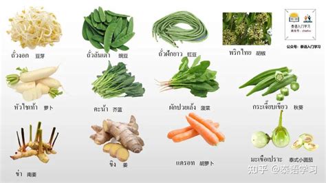 泰语中常见蔬菜名称，你知道吗？（附图片及语音） - 知乎