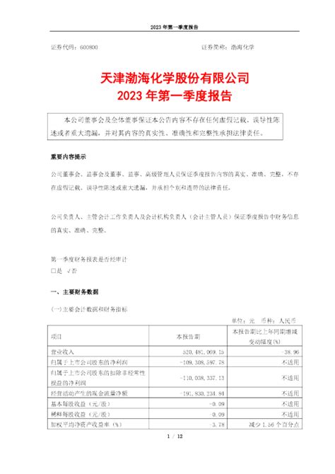 渤海化学：天津渤海化学股份有限公司2023年第一季度报告
