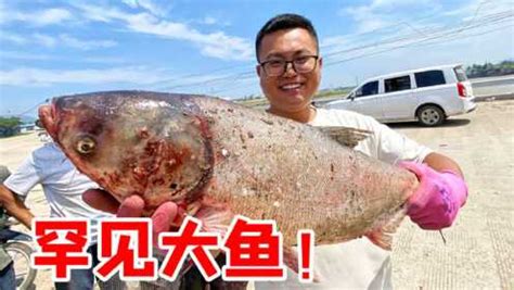 中国南极村海鲜交易 整筐大鱼在船上被买走 学生穿校服帮忙|大鱼|渔民|大姐_新浪新闻