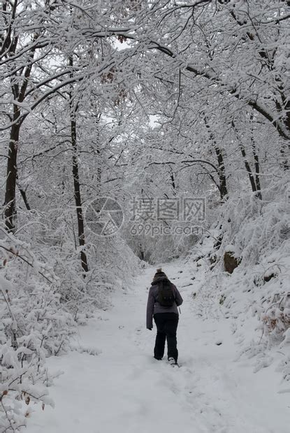 雪地里行走的女性高清图片下载-正版图片308002517-摄图网