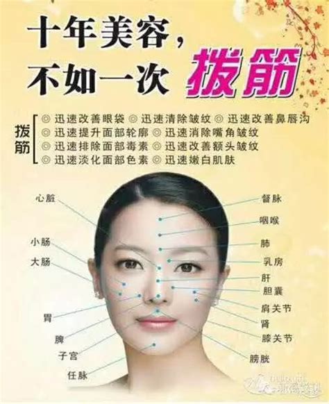 额头部位示意图图片