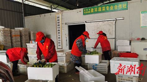 蔬菜节日市场货源足品种多，北京蔬菜上市量连续三天超1.3万吨 蔬菜