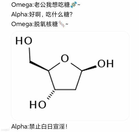 乒乓球排名表是什么样子