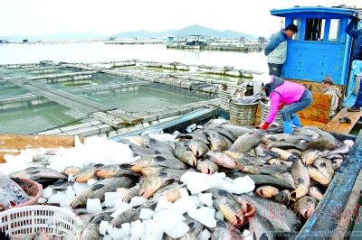 就在观山湖区二铺，山与海水产生鲜农品大市集正式开业|贵阳市_新浪新闻