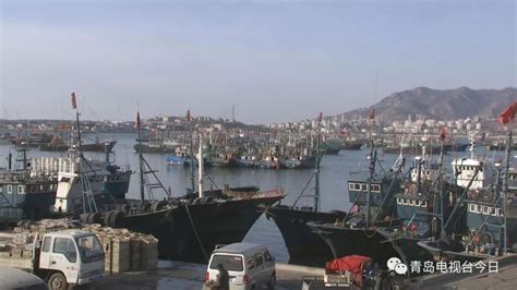 威海：渔船进港避风雪凤凰网山东_凤凰网