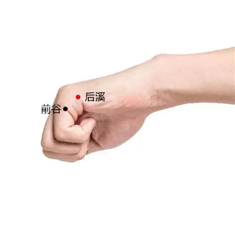 后溪穴位图图片