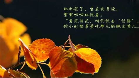 催人泪下——史铁生《秋天的怀念》朗读：刘鹏程_腾讯视频