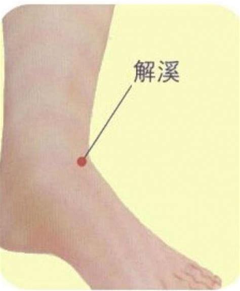 跖屈和背伸的图图片