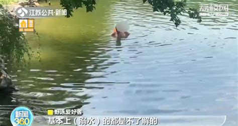 关注 | 野泳者出没！广州到公开水域游泳的人多了，普遍自信“泳技好”，管理方发愁……|广州_新浪新闻