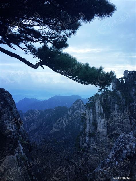 连绵不绝的山峰松树风景图片下载_红动中国